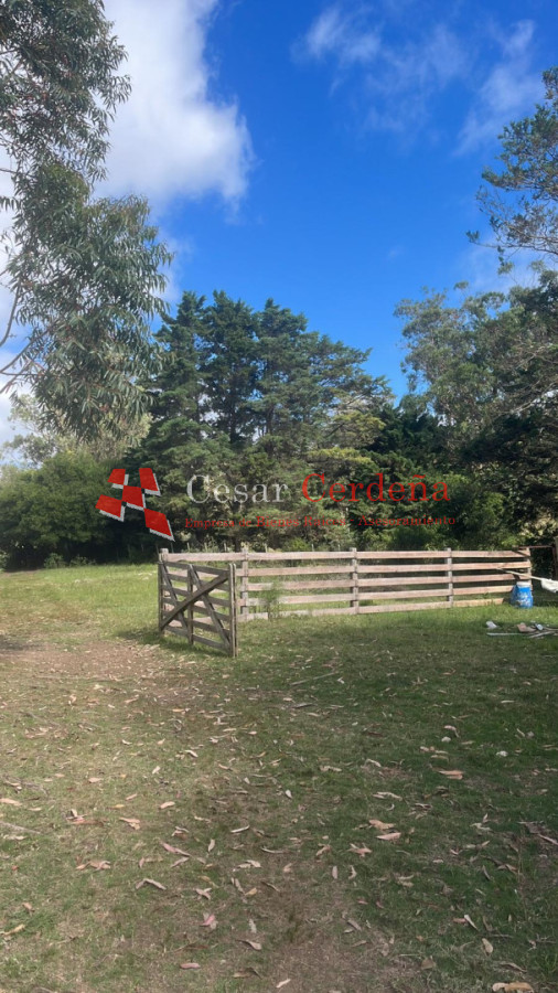 VENTA - Campo 295 hectáreas en 19 de Abril - Rocha - CCB1956P