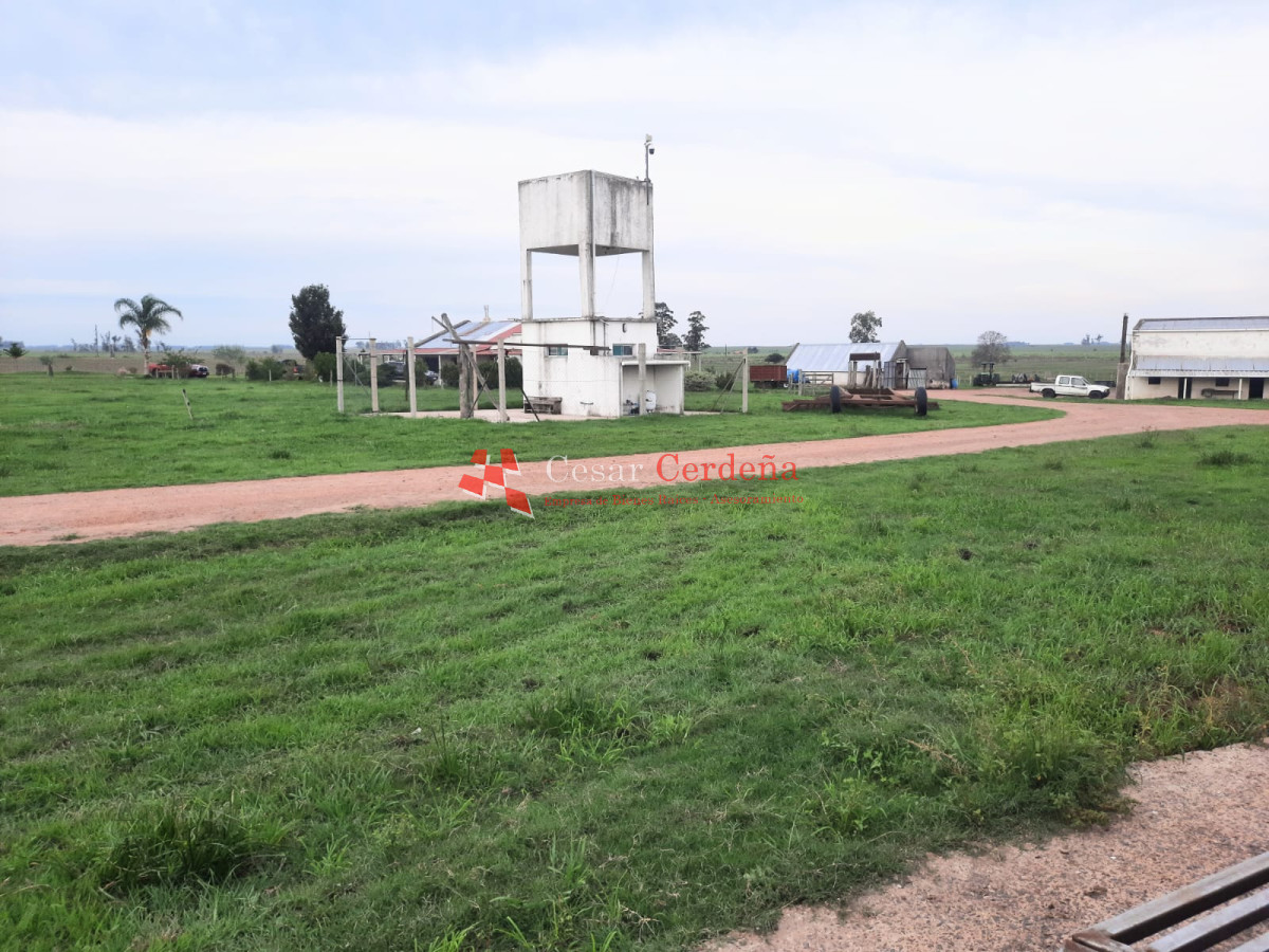 Campo Ref.1776 - VENTA - Campo 1324 has Agricolas Ganaderas Treinta y Tres