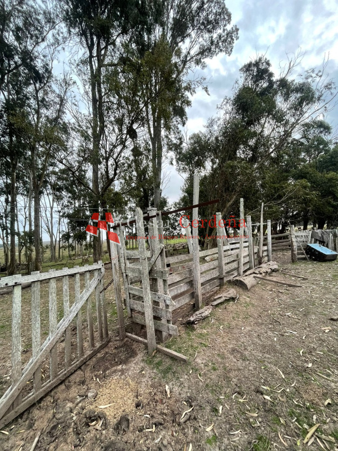 VENTA - Campo 208 hectareas en La Coronilla, Rocha - CCB1899P