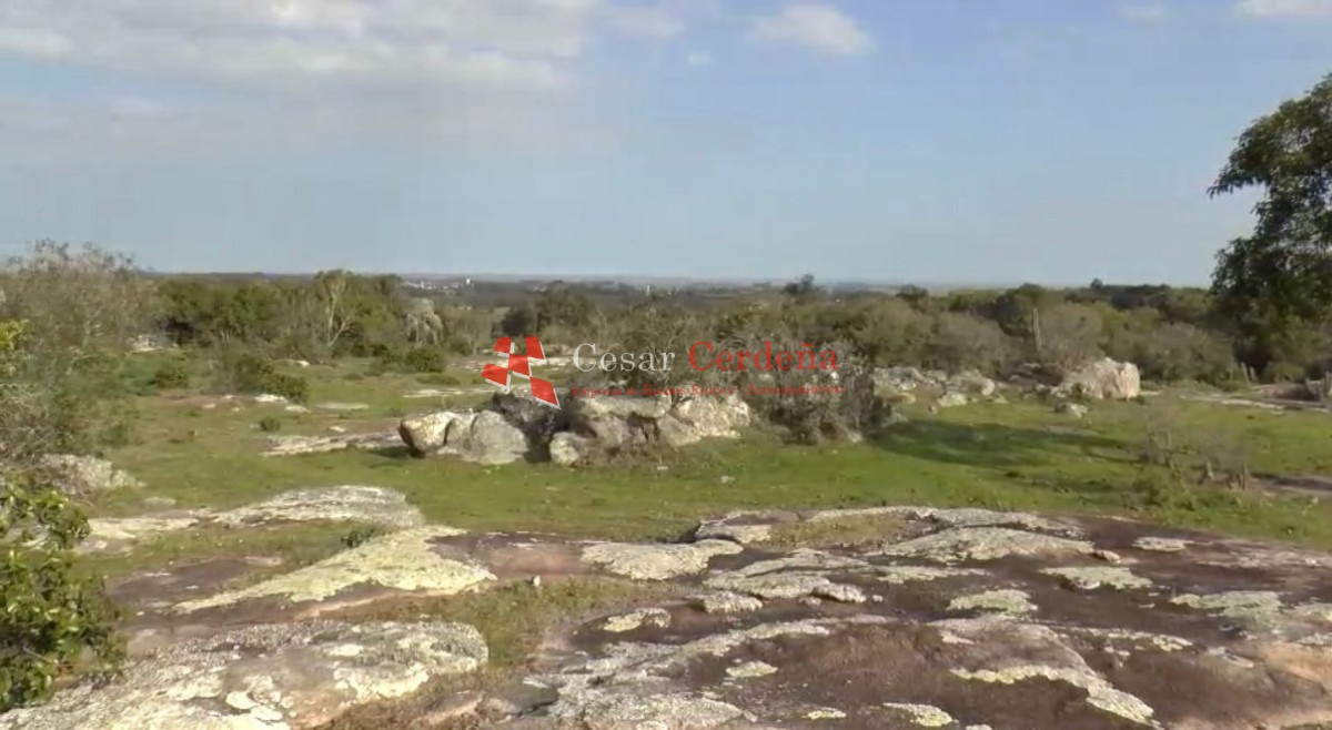 Campo Ref.1968 - VENTA - Campo 106 hectareas - Castillos