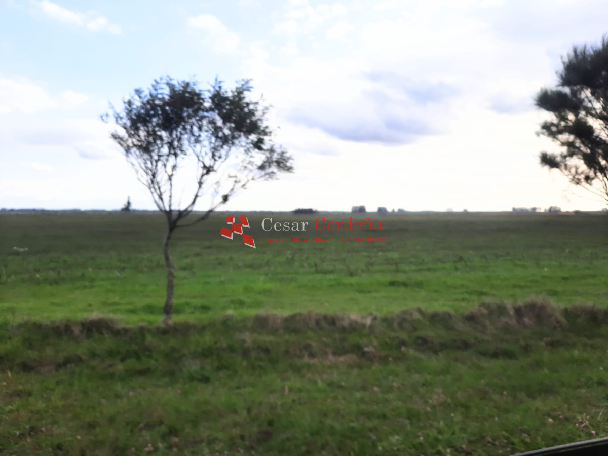 Campo Ref.1776 - VENTA - Campo 1324 has Agricolas Ganaderas Treinta y Tres