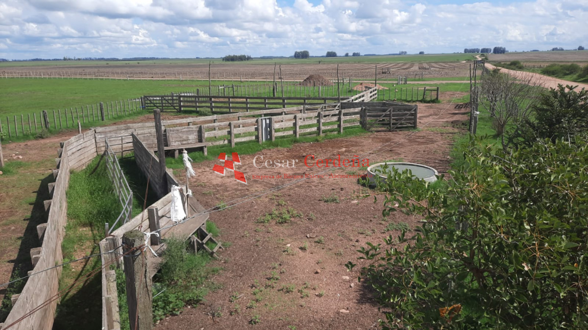 Campo Ref.1776 - VENTA - Campo 1324 has Agricolas Ganaderas Treinta y Tres