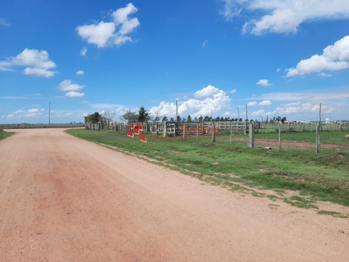 Campo Ref.1776 - VENTA - Campo 1324 has Agricolas Ganaderas Treinta y Tres