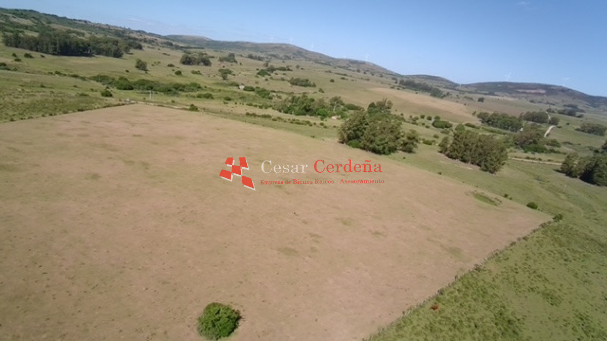 Campo Ref.1958 - VENTA - Campo 82 hectáreas