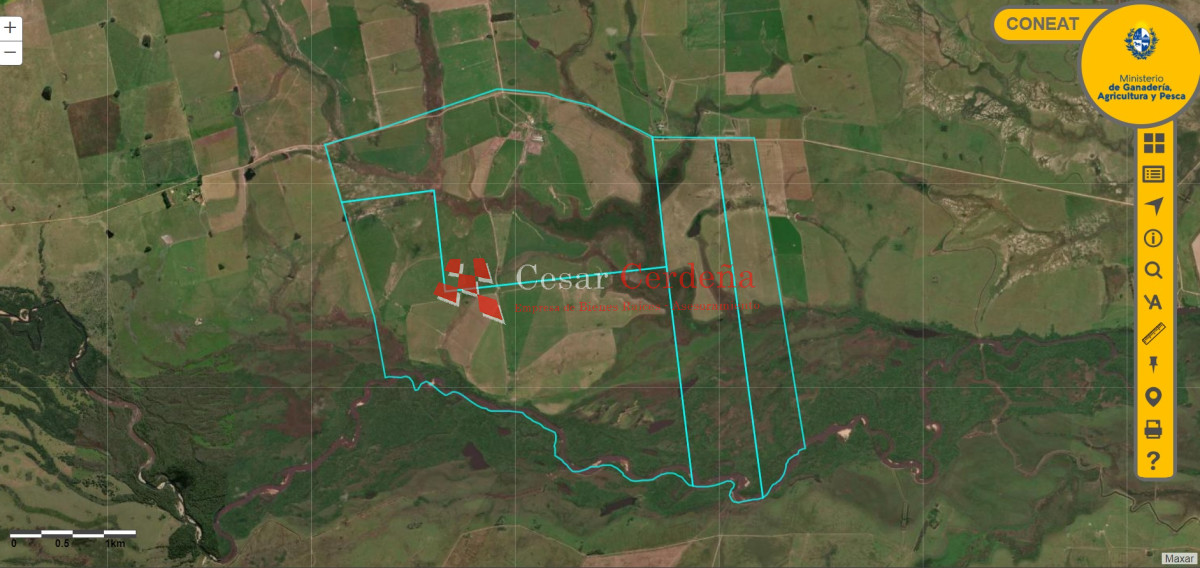Campo Ref.1776 - VENTA - Campo 1324 has Agricolas Ganaderas Treinta y Tres