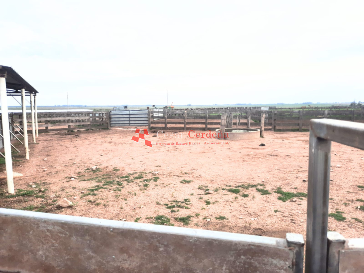 Campo Ref.1776 - VENTA - Campo 1324 has Agricolas Ganaderas Treinta y Tres