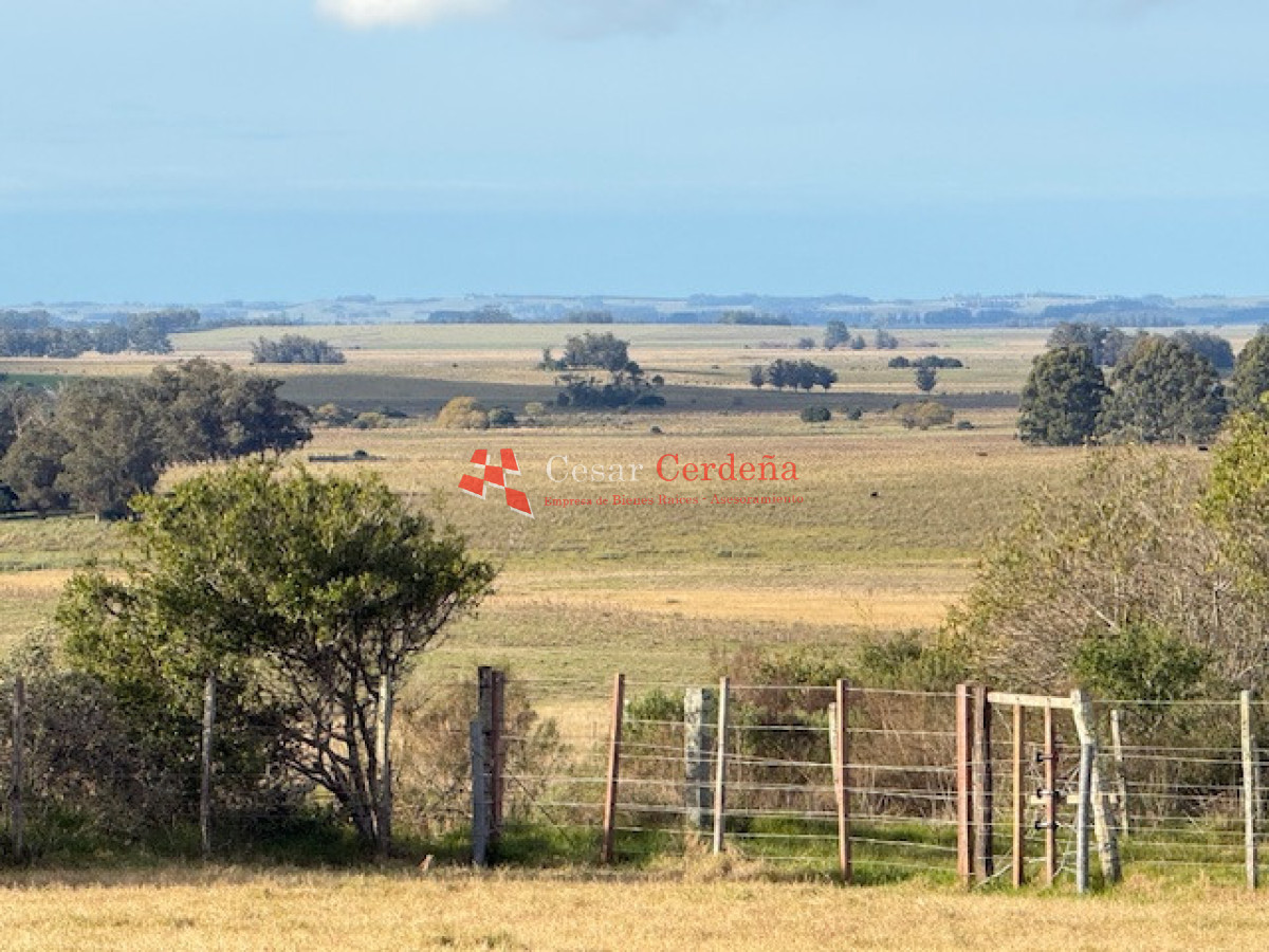 VENTA - Campo 358 hectáreas en Garzón, Rocha - CCB1998P
