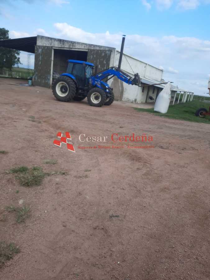 Campo Ref.1776 - VENTA - Campo 1324 has Agricolas Ganaderas Treinta y Tres