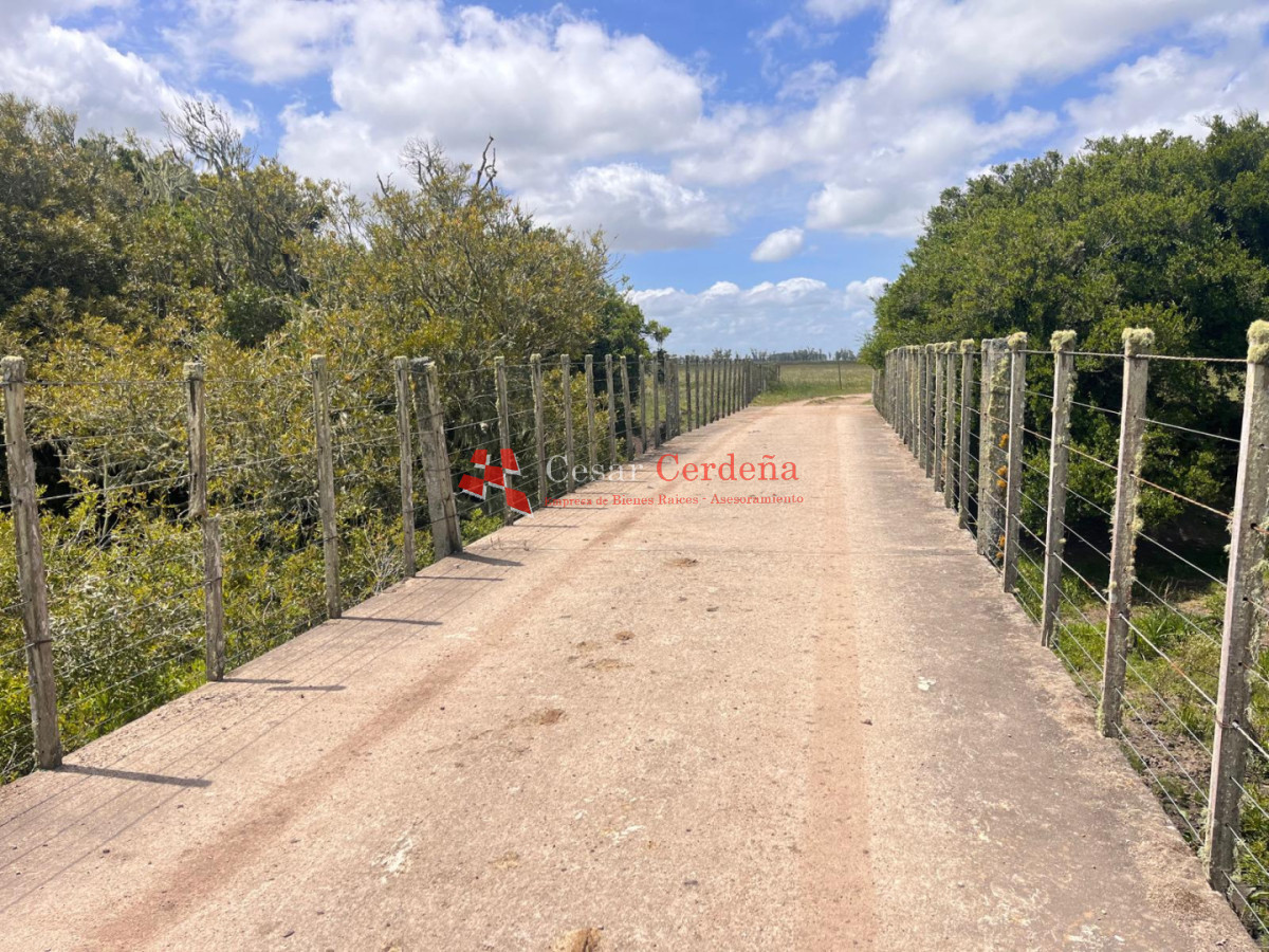 Campo Ref.1850 - VENTA - 745 HECTAREAS ROCHA