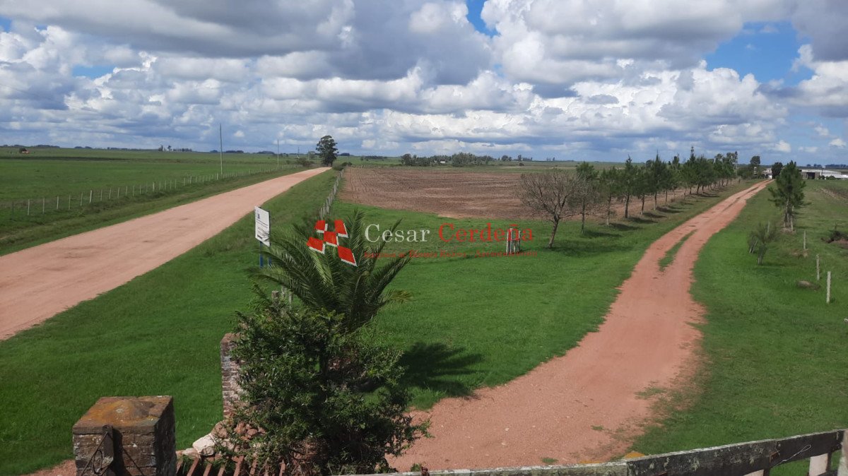 Campo Ref.1776 - VENTA - Campo 1324 has Agricolas Ganaderas Treinta y Tres