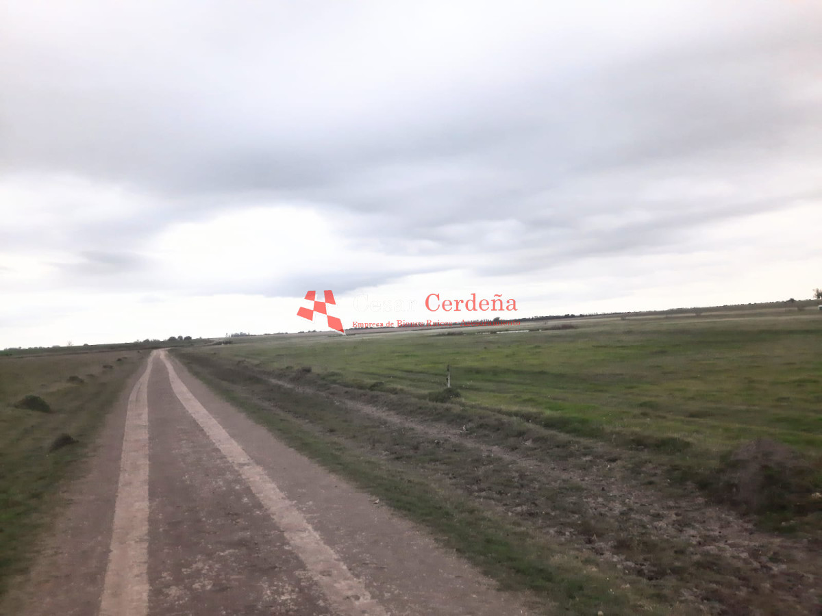 Campo Ref.1776 - VENTA - Campo 1324 has Agricolas Ganaderas Treinta y Tres