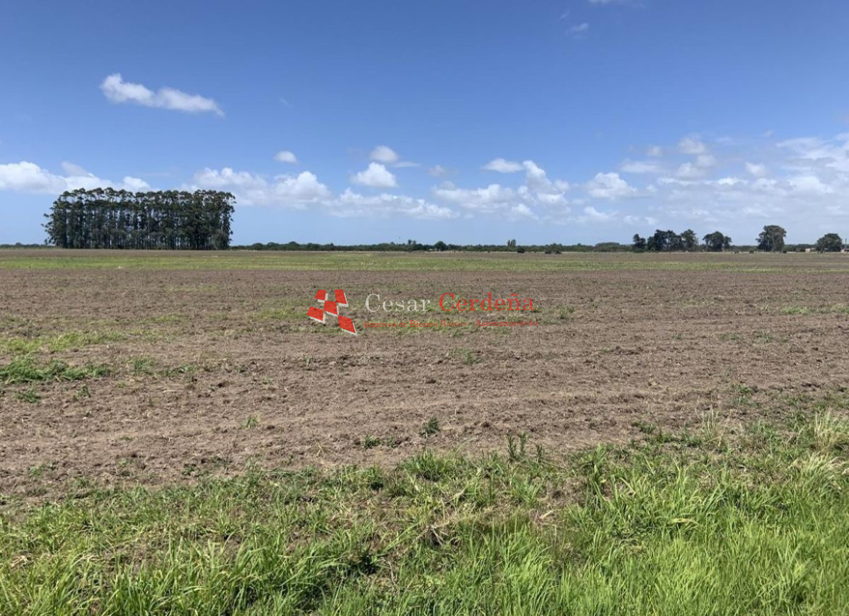 Campo Ref.1850 - VENTA - 745 HECTAREAS ROCHA