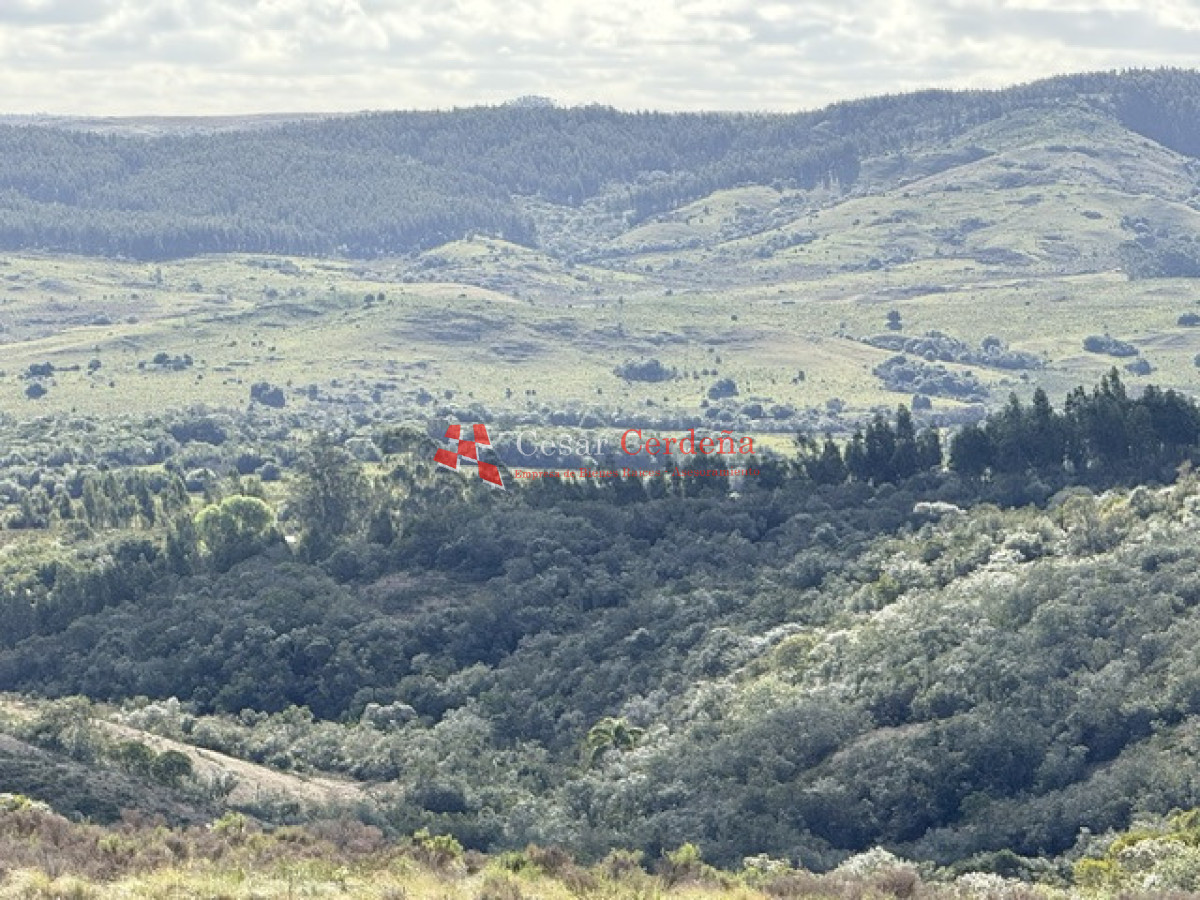 VENTA - Campo 372 hectáreas en Piedras Blancas, Rocha - CCB1981P