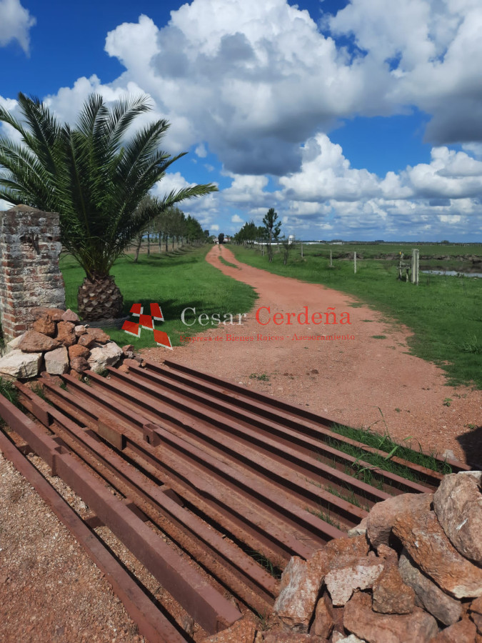 Campo Ref.1776 - VENTA - Campo 1324 has Agricolas Ganaderas Treinta y Tres
