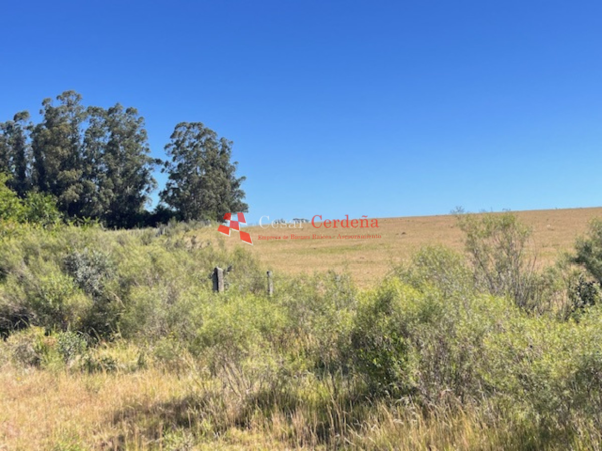 Campo Ref.1958 - VENTA - Campo 82 hectáreas