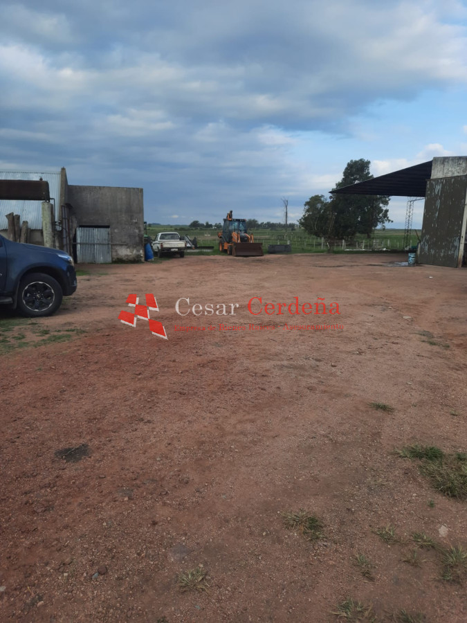 Campo Ref.1776 - VENTA - Campo 1324 has Agricolas Ganaderas Treinta y Tres
