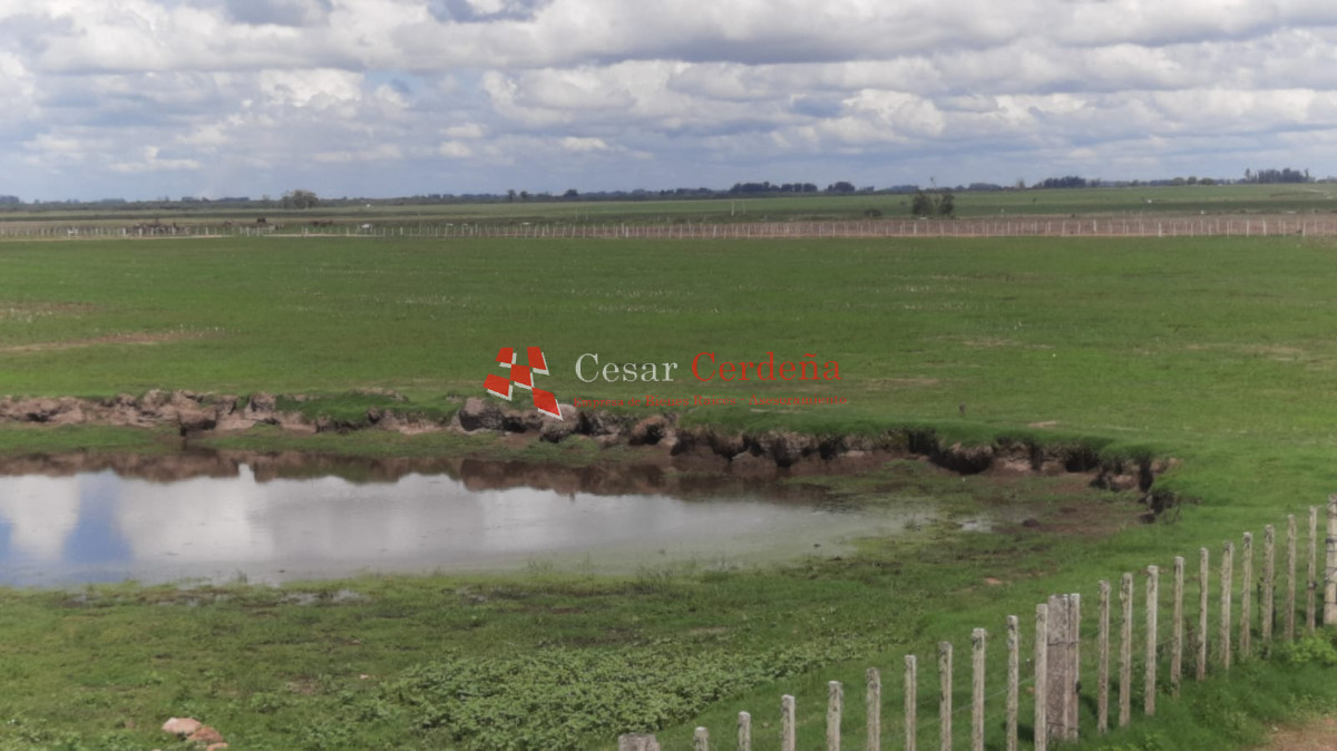 Campo Ref.1776 - VENTA - Campo 1324 has Agricolas Ganaderas Treinta y Tres