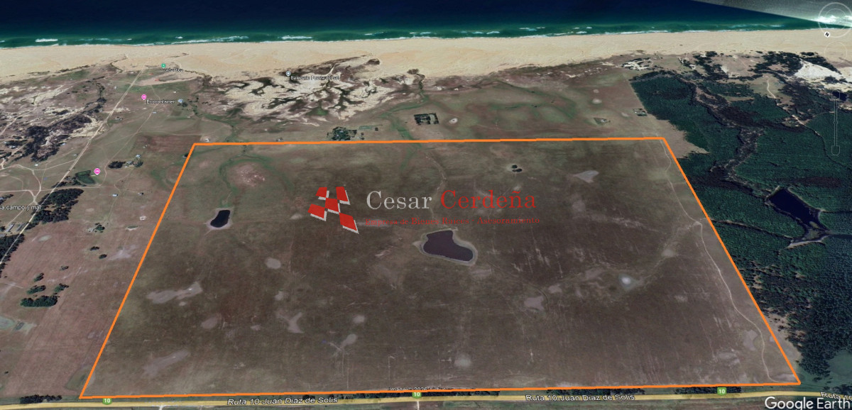 Campo Ref.1962 - VENTA - Campo 145 hectareas - Polonio