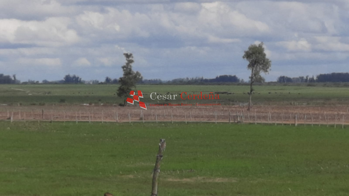 Campo Ref.1776 - VENTA - Campo 1324 has Agricolas Ganaderas Treinta y Tres