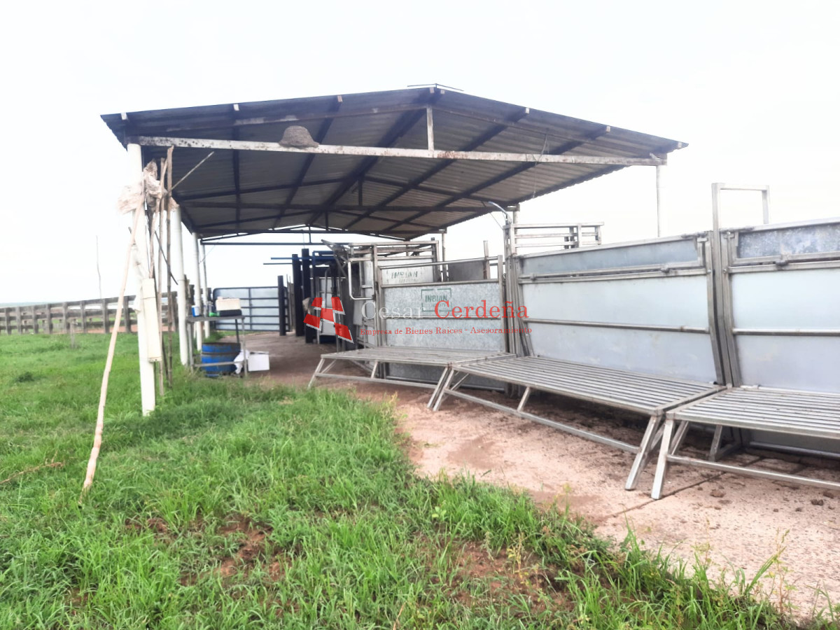 Campo Ref.1776 - VENTA - Campo 1324 has Agricolas Ganaderas Treinta y Tres