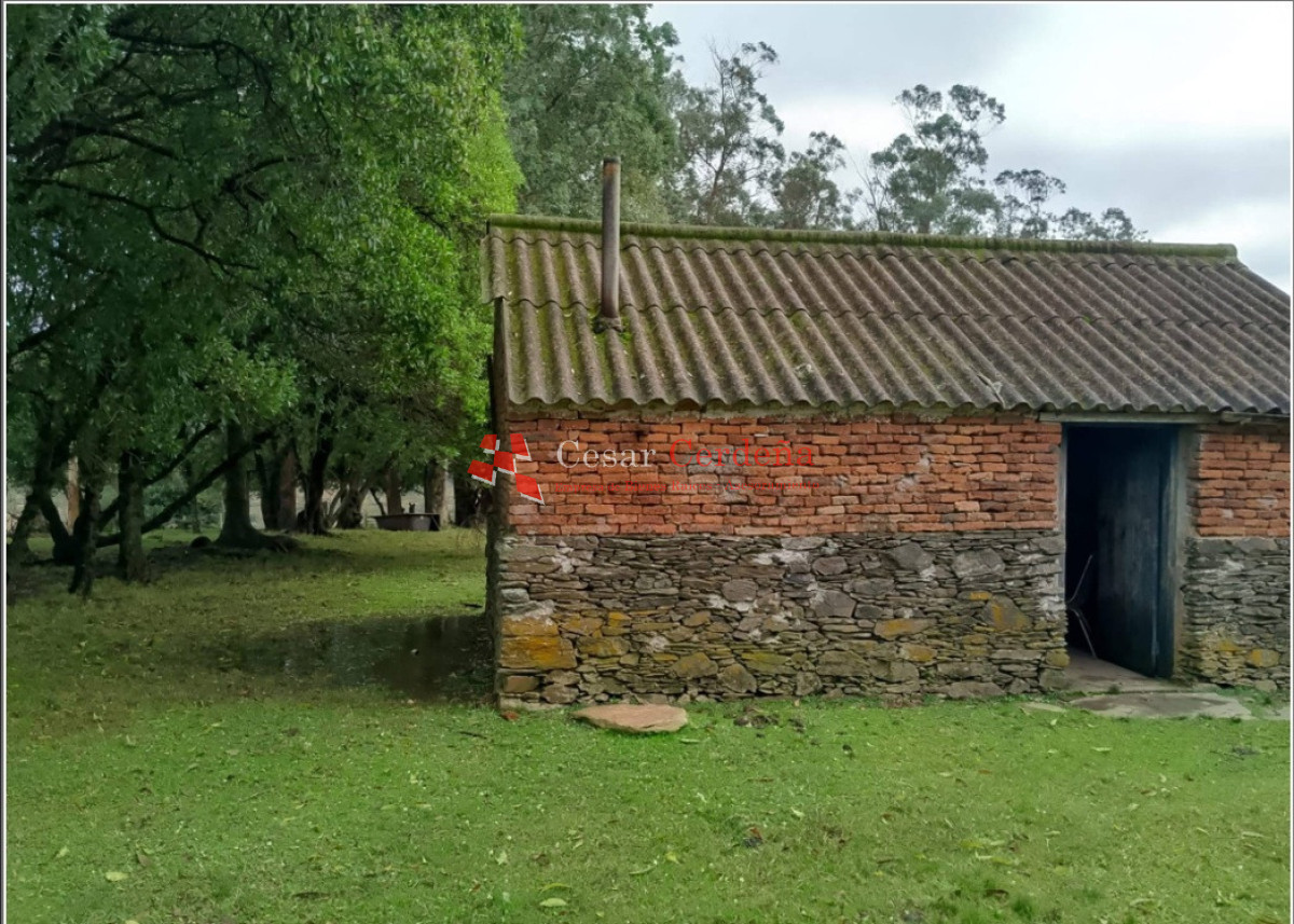 Campo Ref.1964 - VENTA - Campito 59 hectáreas - Castillos, Rocha