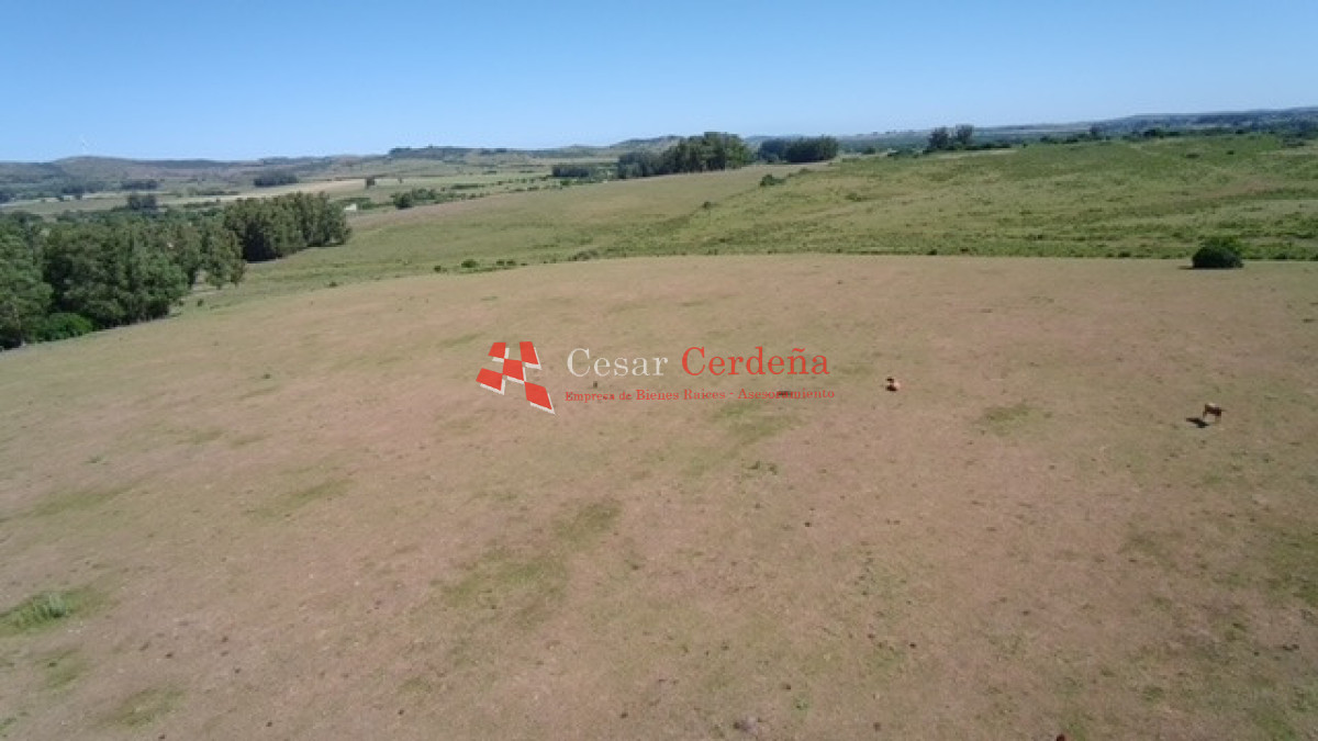 Campo Ref.1958 - VENTA - Campo 82 hectáreas