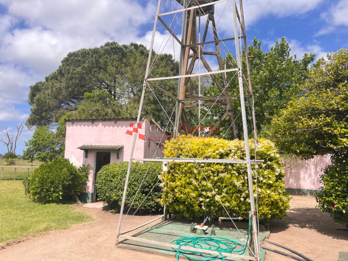 Campo Ref.1850 - VENTA - 745 HECTAREAS ROCHA