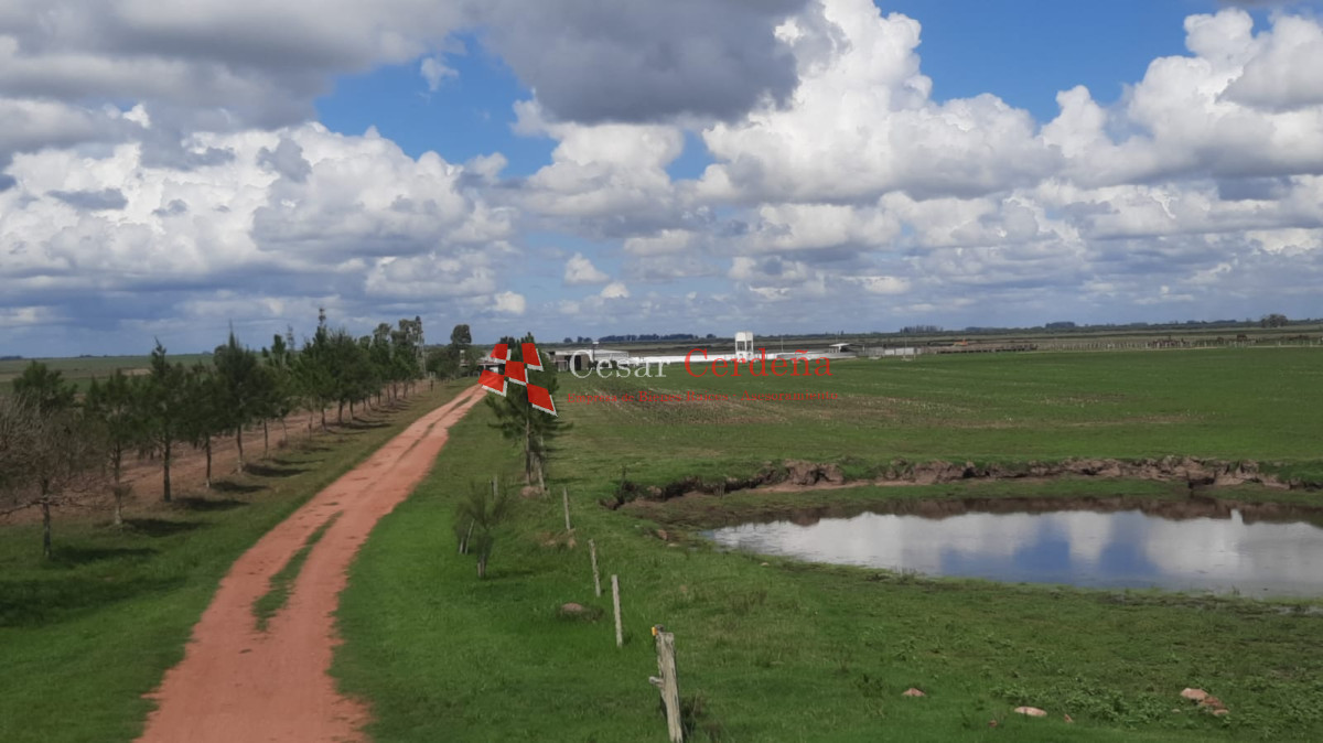 Campo Ref.1776 - VENTA - Campo 1324 has Agricolas Ganaderas Treinta y Tres