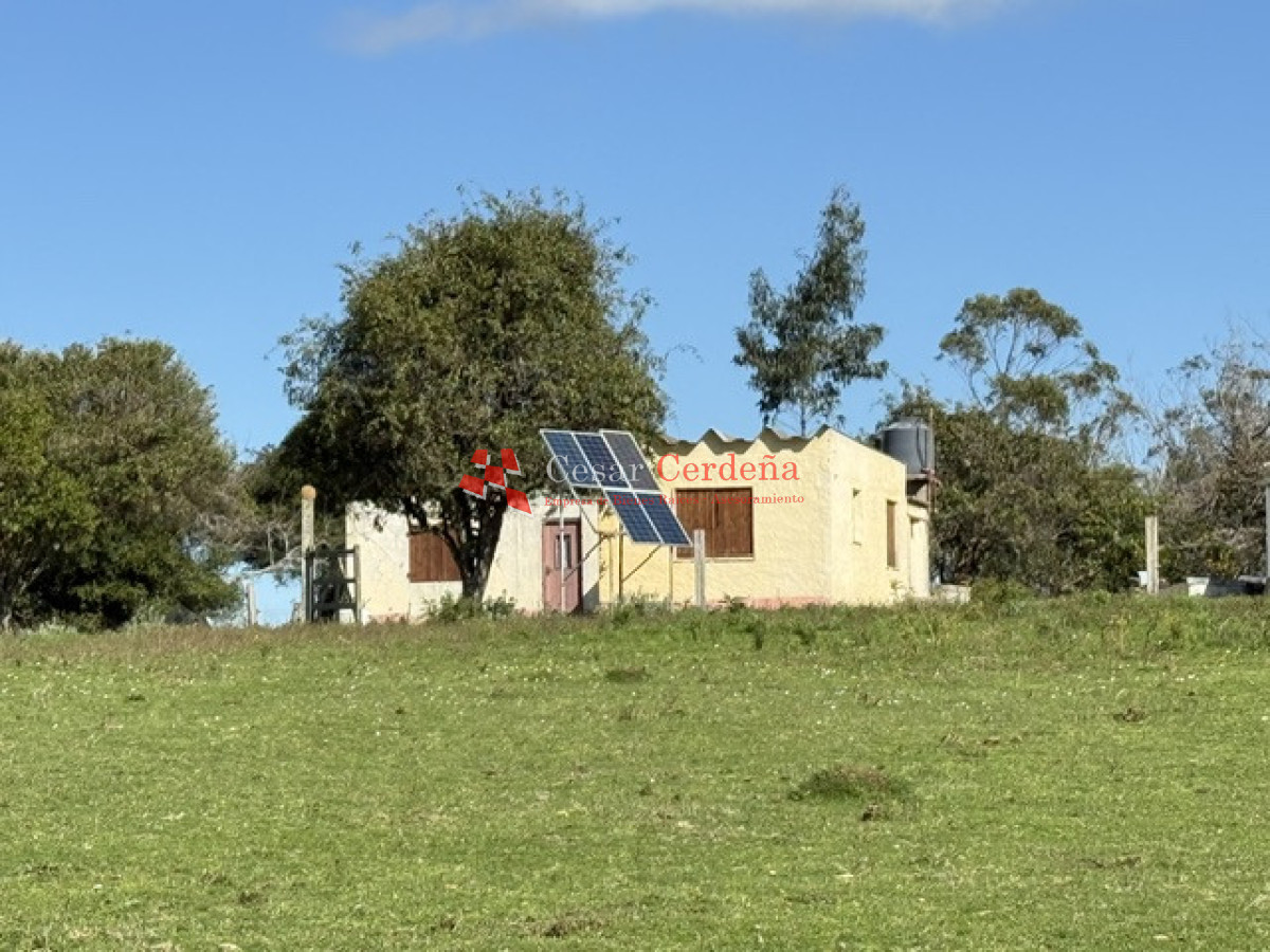 VENTA - Campo 240 hectáreas en 19 de Abril - Rocha - CCB1936P