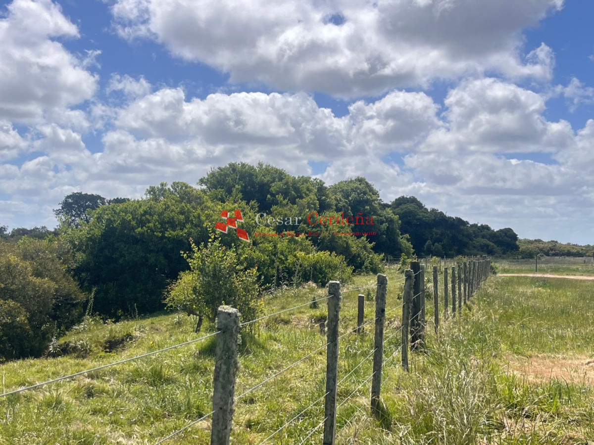 Campo Ref.1850 - VENTA - 745 HECTAREAS ROCHA