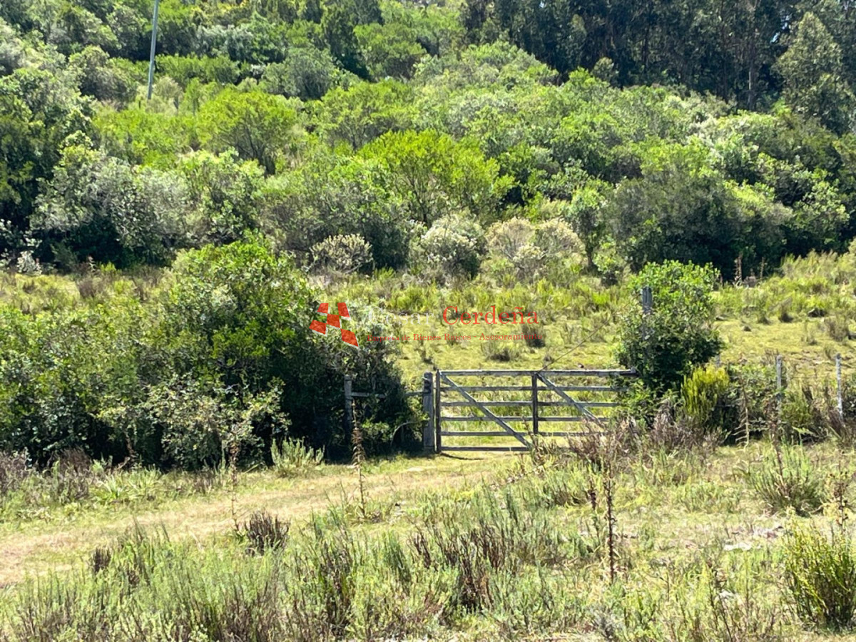 VENTA - Campo 49 hectareas Pan de Azucar - CCB1970P