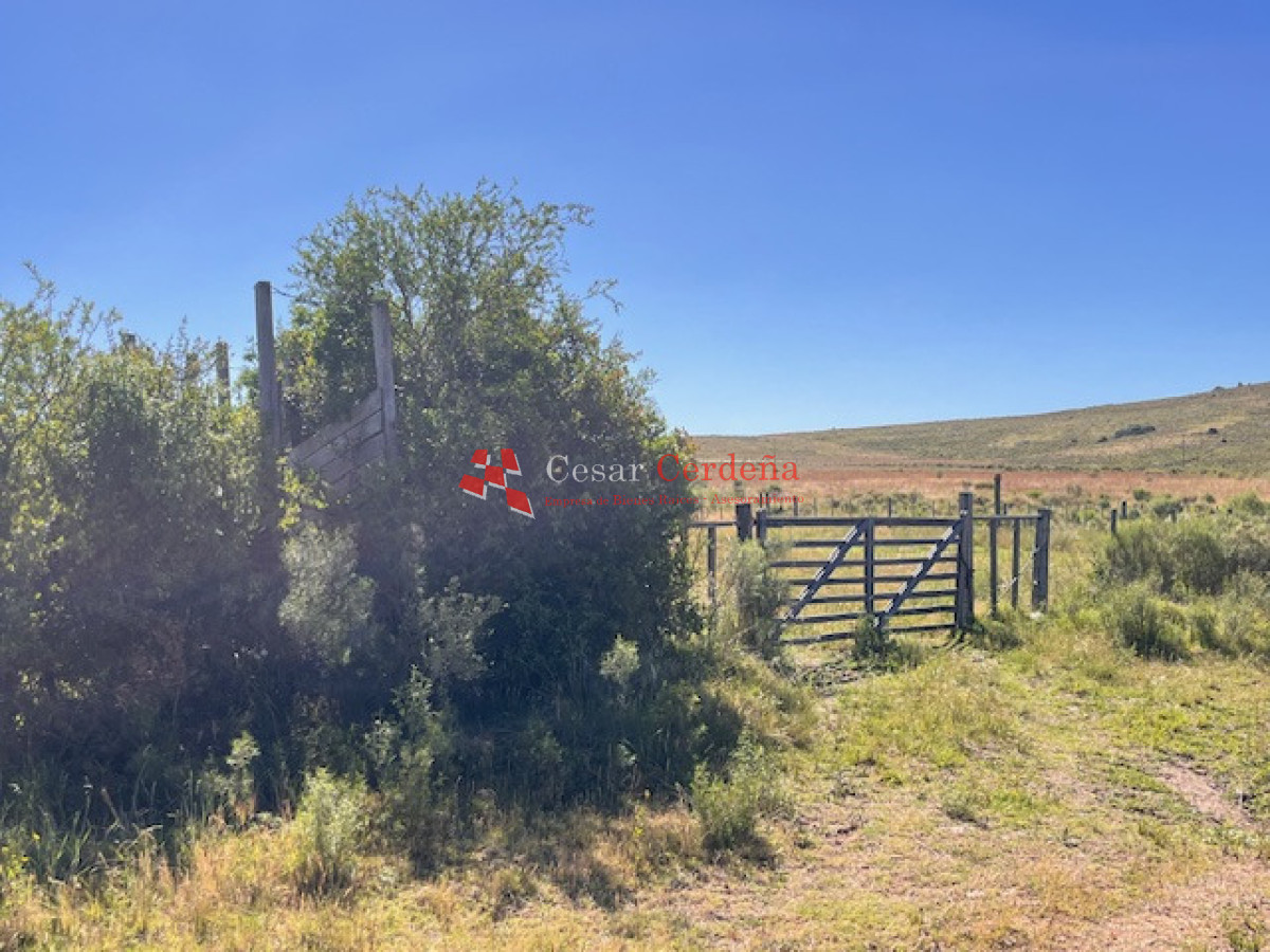 Campo Ref.1958 - VENTA - Campo 82 hectáreas