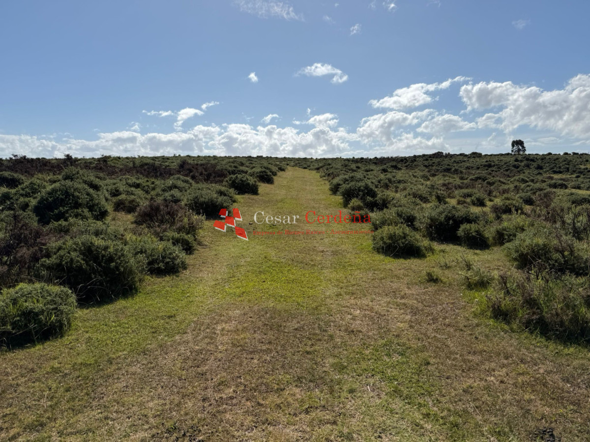 Campo Ref.1964 - VENTA - Campito 59 hectáreas - Castillos, Rocha