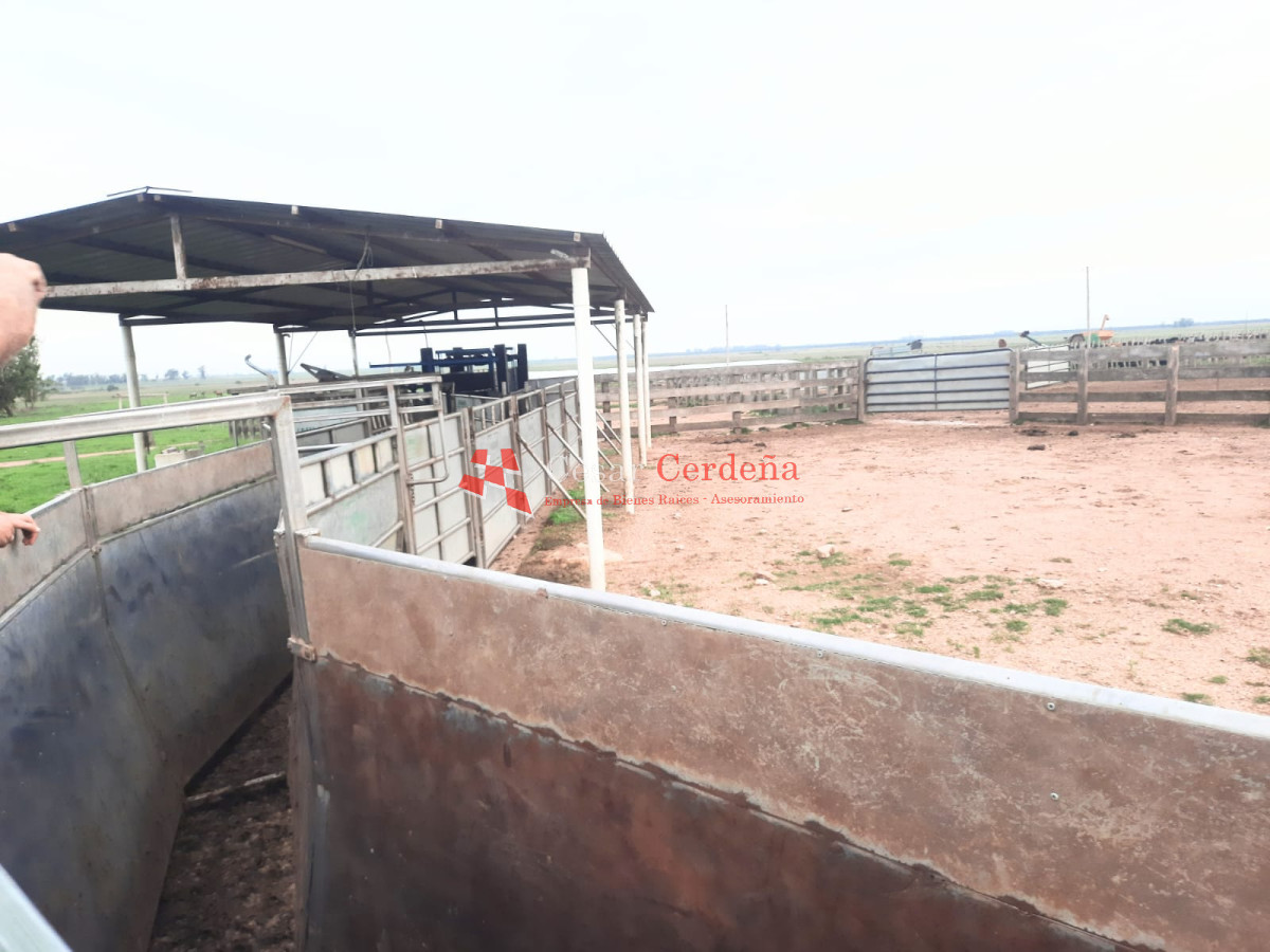 Campo Ref.1776 - VENTA - Campo 1324 has Agricolas Ganaderas Treinta y Tres