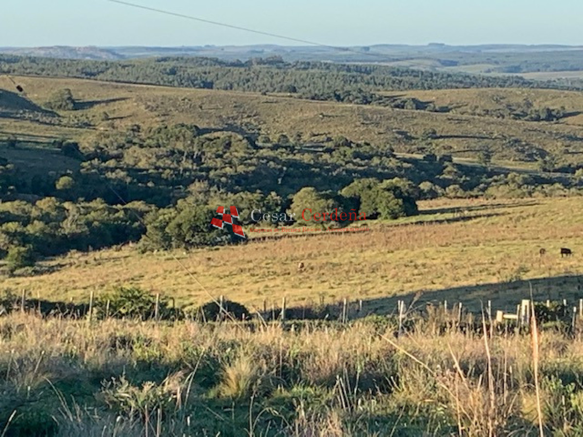 Campo Ref.1970 - VENTA - Campo 49 hectareas Pan de Azucar