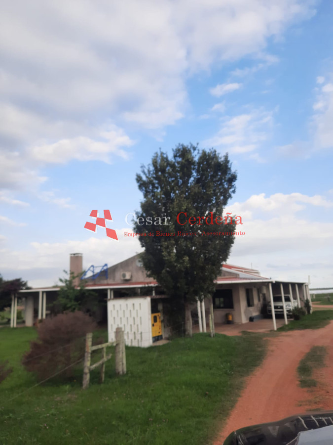 Campo Ref.1776 - VENTA - Campo 1324 has Agricolas Ganaderas Treinta y Tres