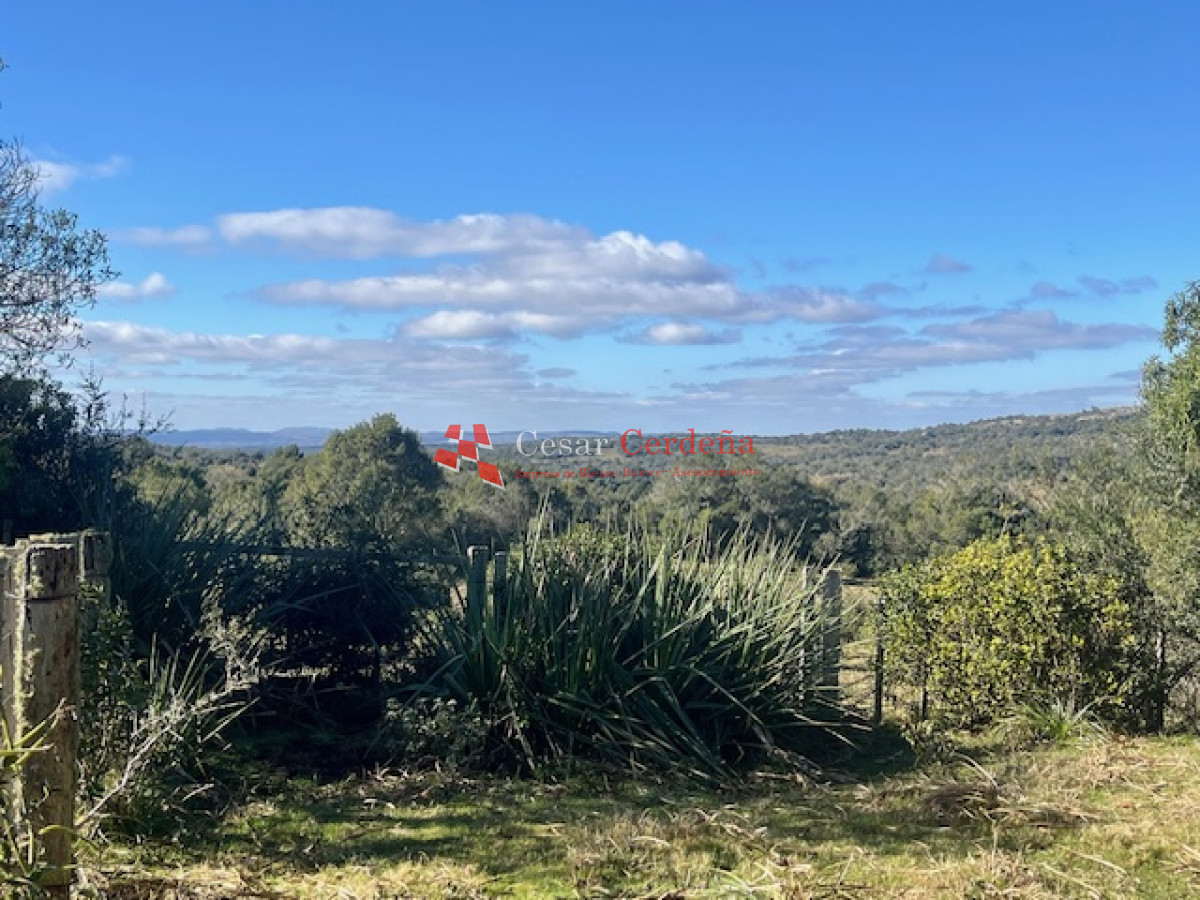Campo Ref.1887 - VENTA - Campo 79 hectareas ruta 109