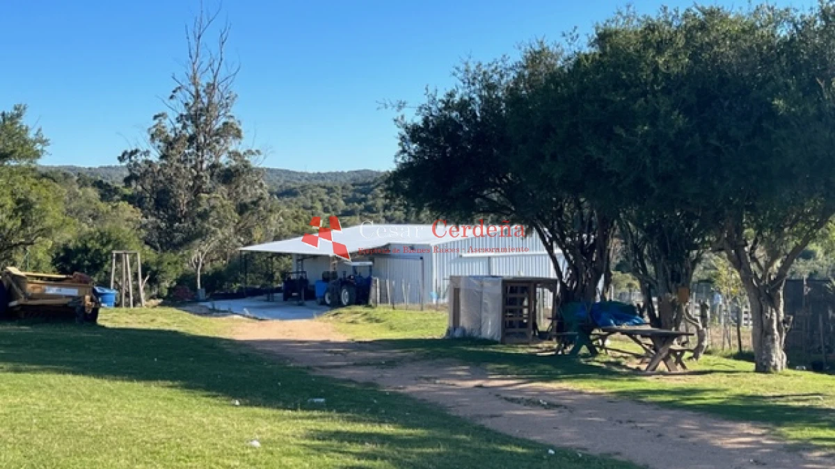 Campo Ref.1886 - VENTA - Campo de 238 hectáreas ganaderas en zona del Cerro Catedral