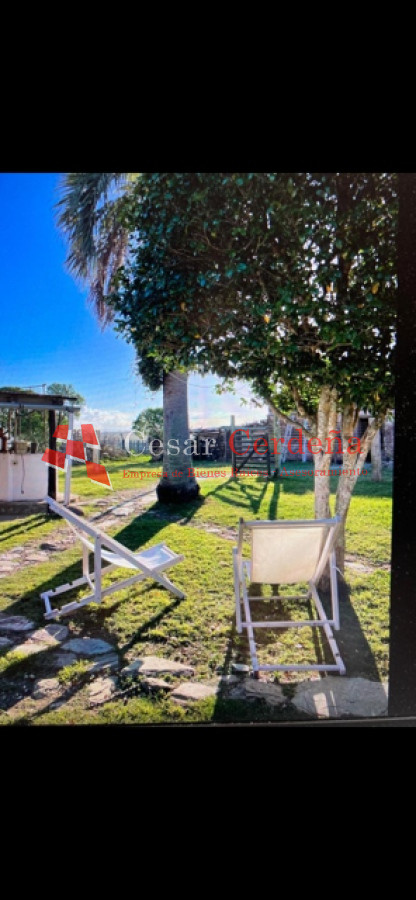 Campo Ref.1870 - VENTA - Campo 265 hectareas en Castillos Rocha