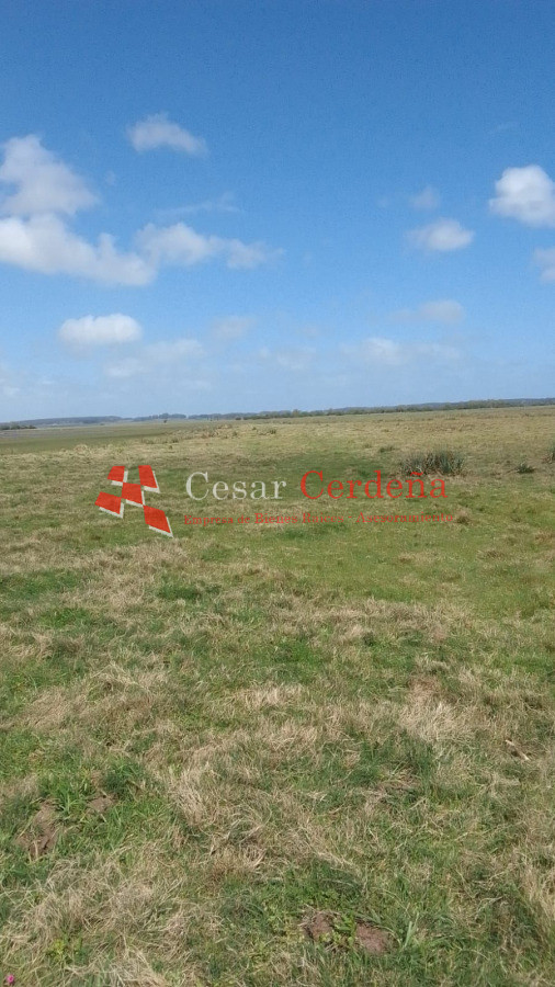 Campo Ref.1951 - VENTA - Campo 744 hectareas - Rocha