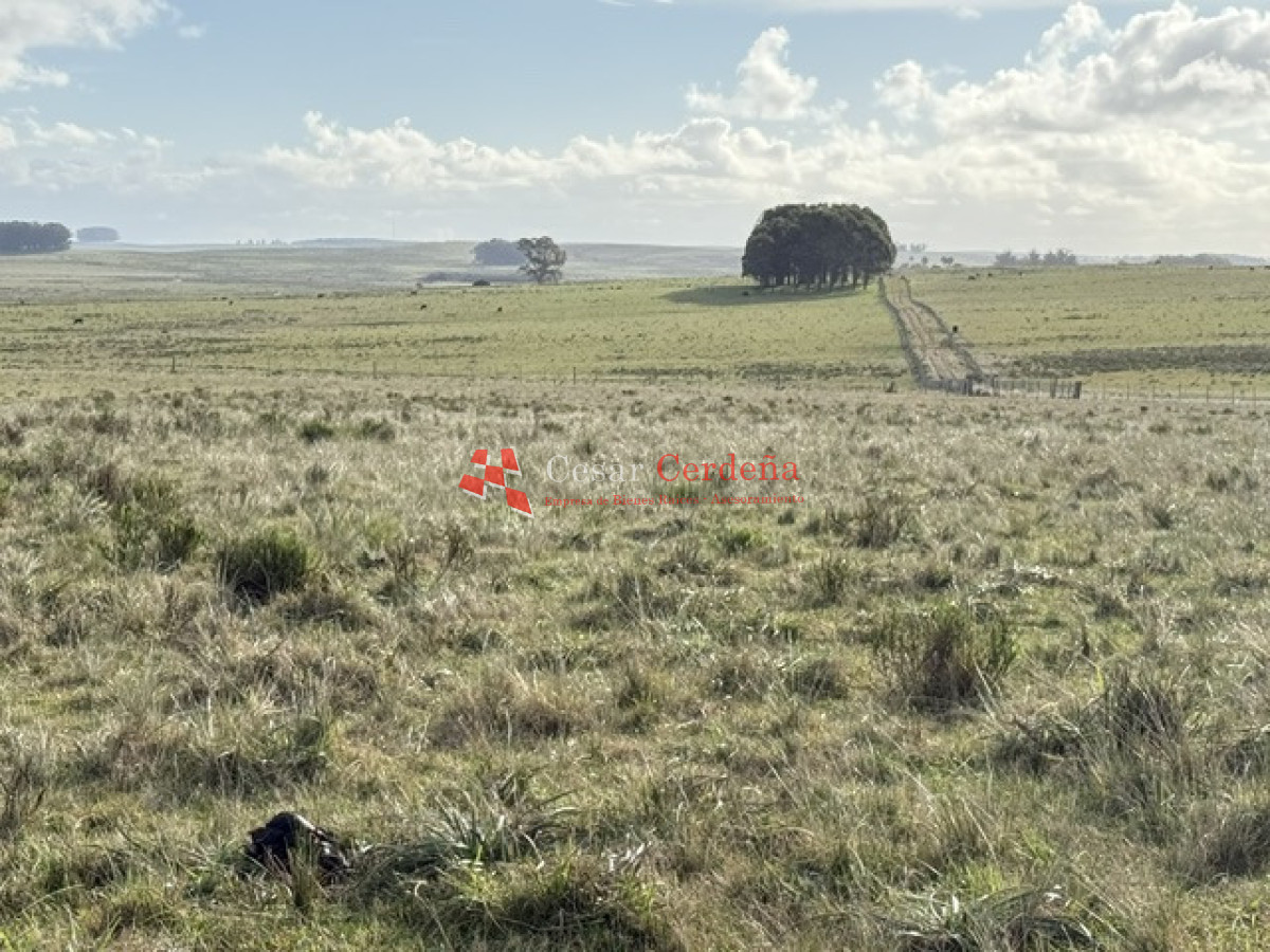 Campo Ref.2007 - VENTA - Campo 655 hectáreas cercano a Velazquez