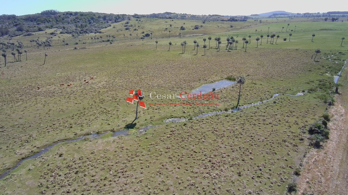 Campo Ref.1968 - VENTA - Campo 106 hectareas - Castillos