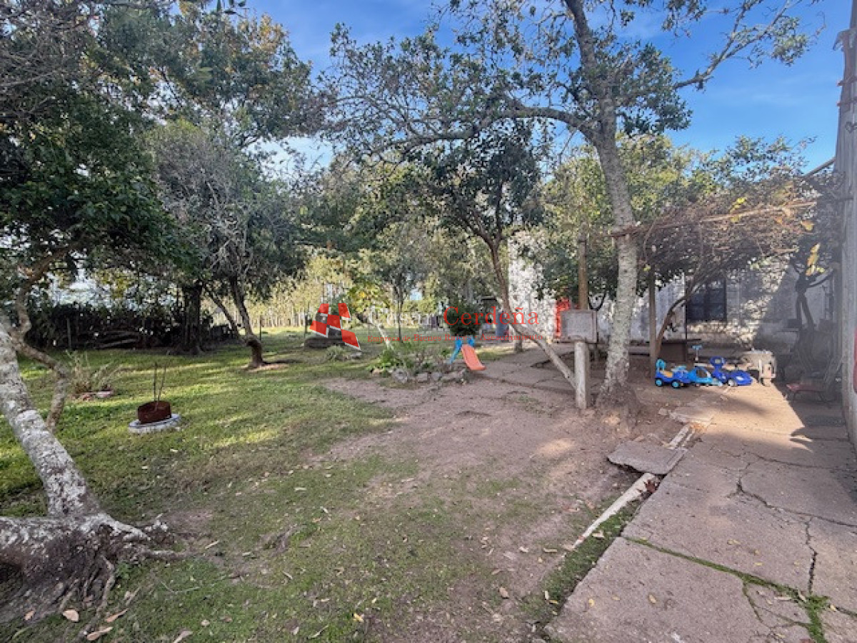 Campo Ref.1998 - VENTA - Campo 358 hectáreas en Garzón, Rocha