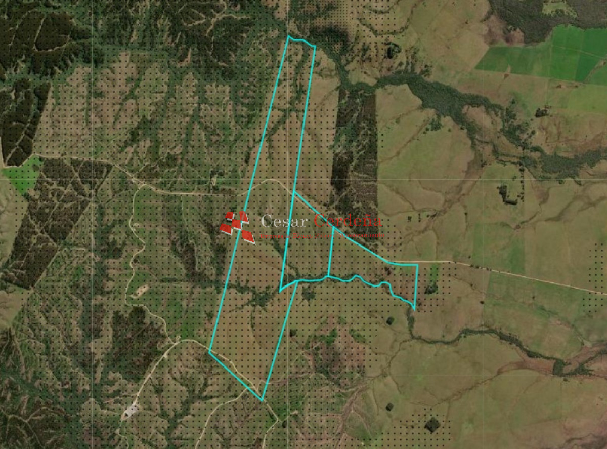 Campo Ref.1936 - VENTA - Campo 240 hectáreas en 19 de Abril - Rocha