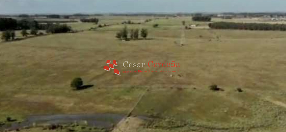 Campo Ref.1895 - VENTA - 73 has en Rocha