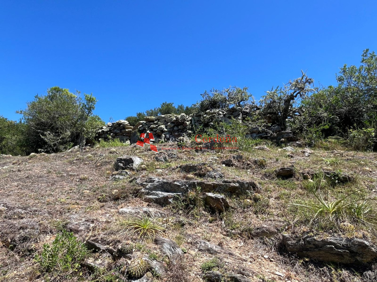 Campo Ref.1970 - VENTA - Campo 49 hectareas Pan de Azucar