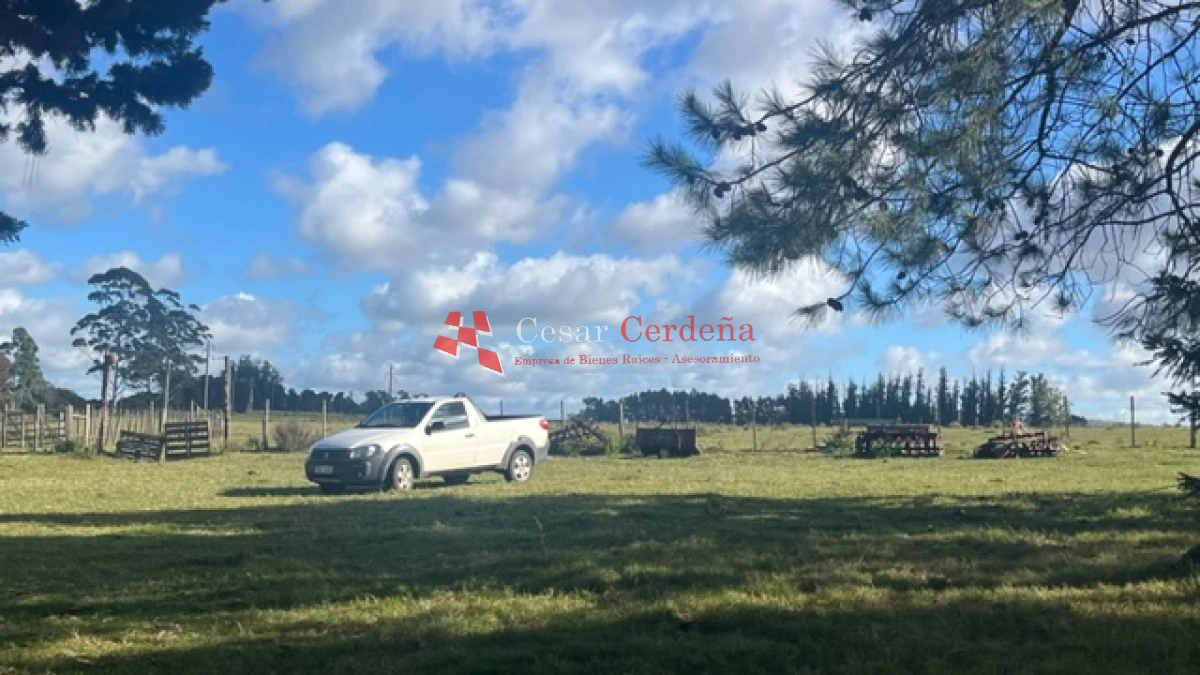 Campo Ref.1780 - VENTA - Campo de 83 hectáreas en Maldonado