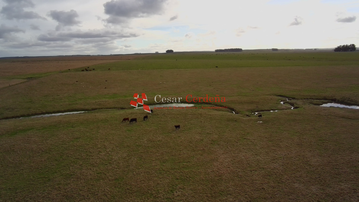 Campo Ref.2007 - VENTA - Campo 655 hectáreas cercano a Velazquez