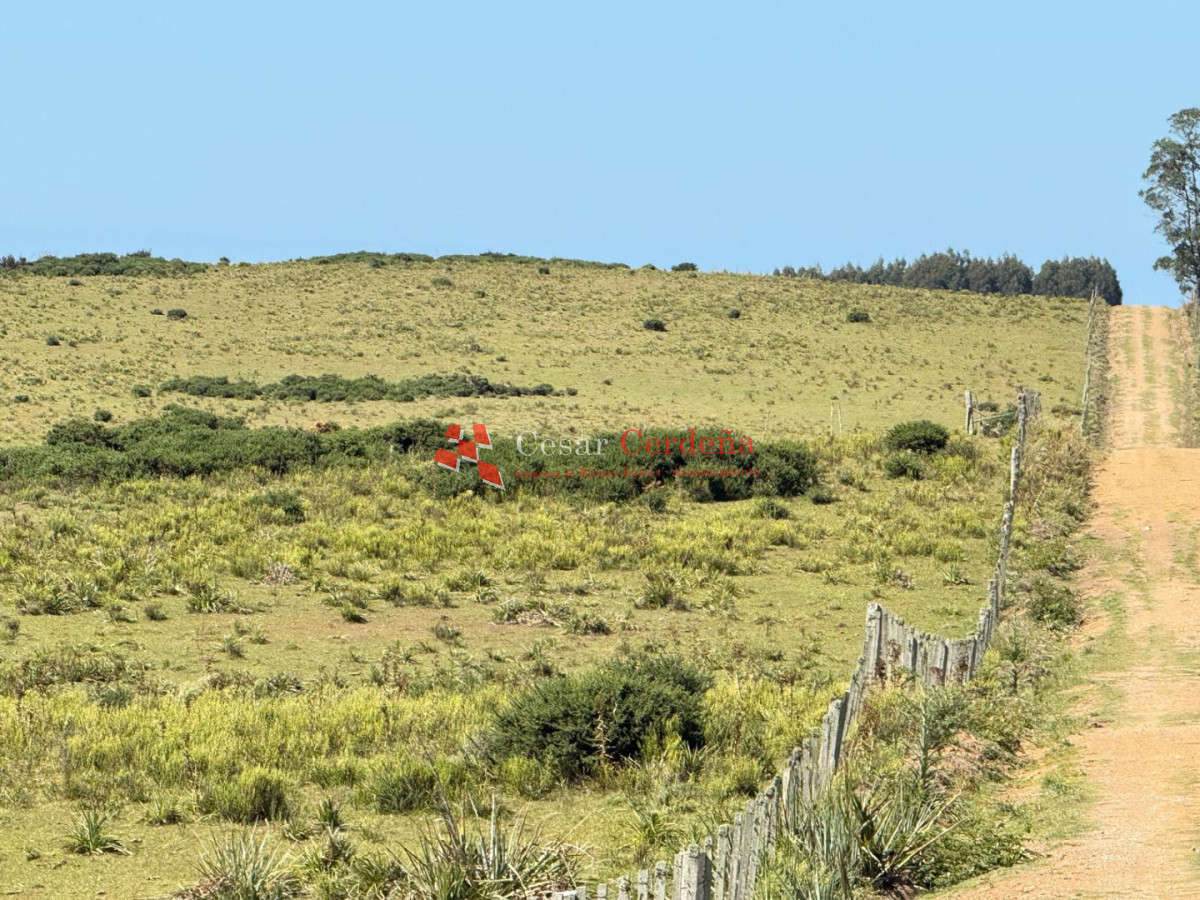 Campo Ref.1990 - VENTA - Campo 112 hectareas en La Carbonera, Rocha