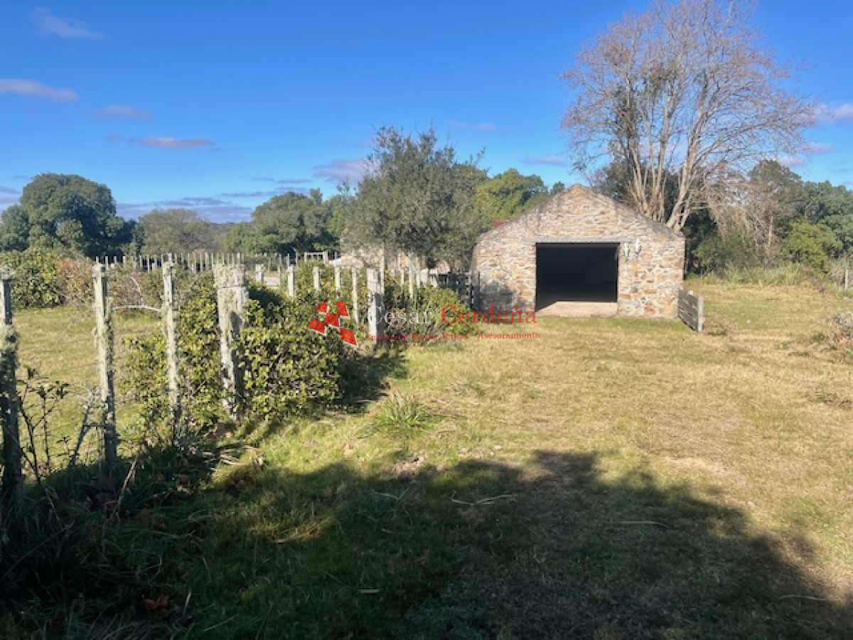 Campo Ref.1887 - VENTA - Campo 79 hectareas ruta 109